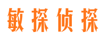 塔城市侦探公司